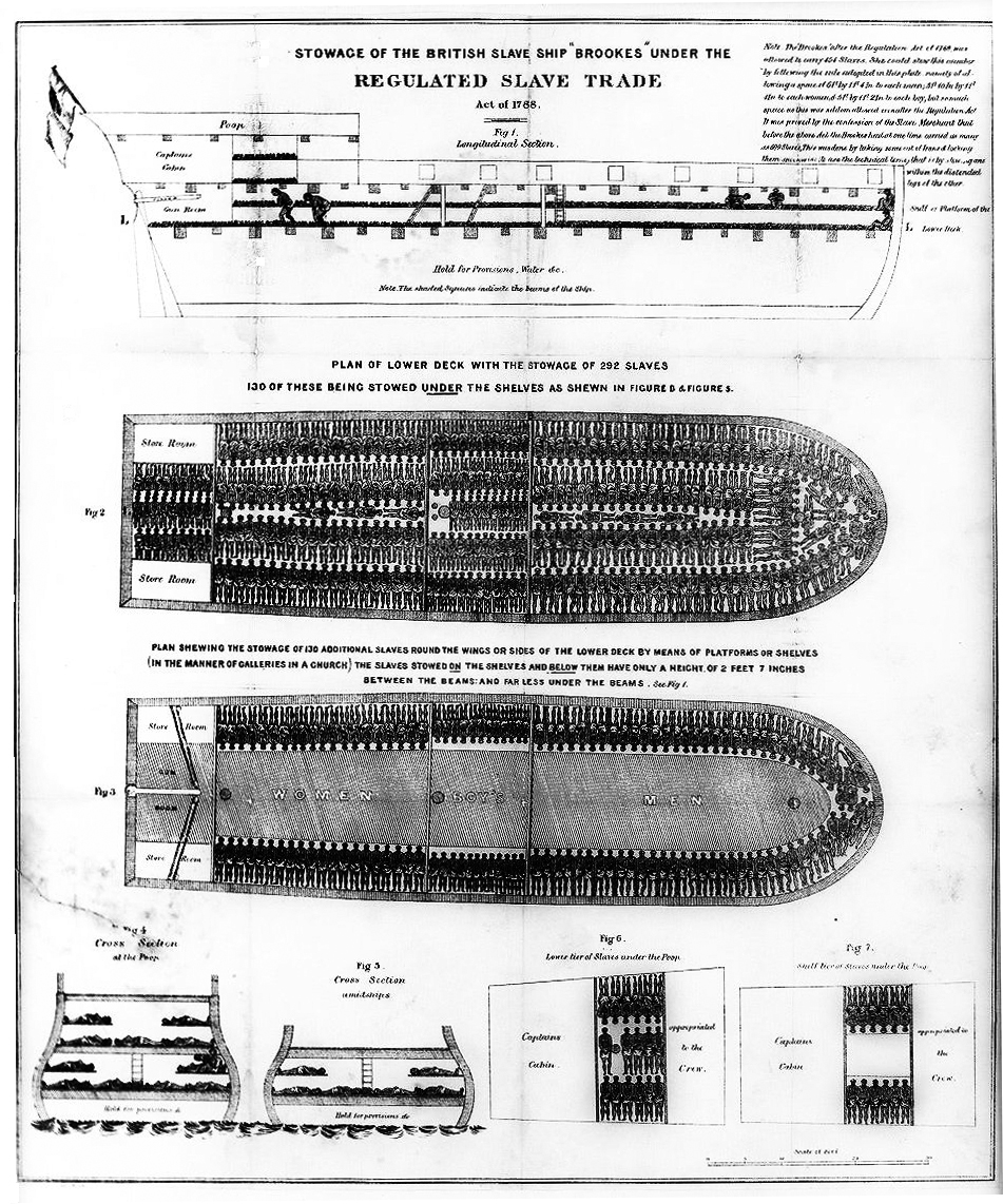 slave ship diagram found by abolition campaigner thomas clarkson